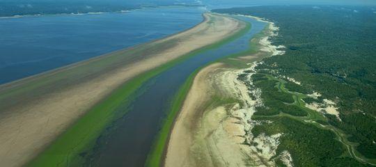 Drought anticipation that protects margin