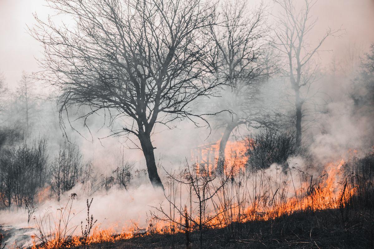 Power line trips from wildfire: anticipate the outage